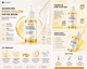 Lumi & Co. | PDRN Salmon DNA + Yellow Peptide Complex | Multi-Action Cellular Recovery Elixir - Lumi & Co